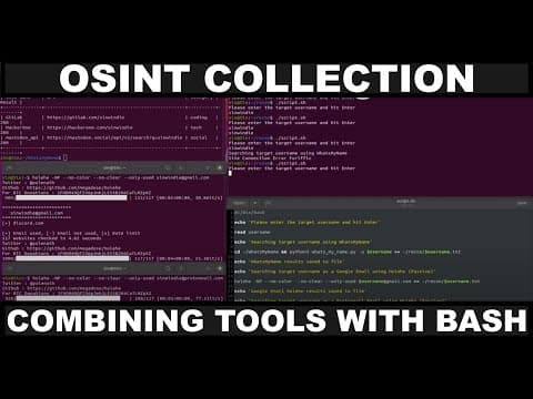 OSINT Collection: Combining Multiple CLI Tools with Bash Scripts