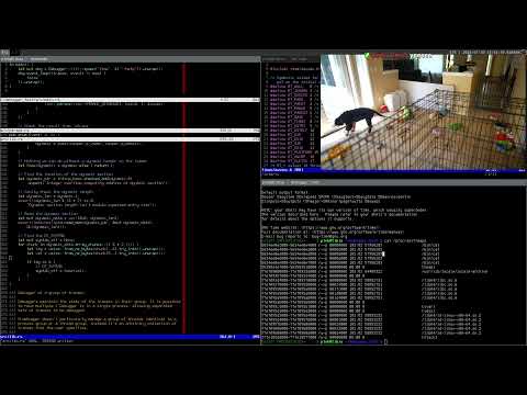 Writing a Linux debugger