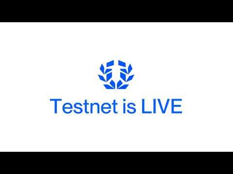 BattleChain Testnet is LIVE