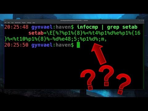 Looking into terminfo vm (part 4 - codegolfing)