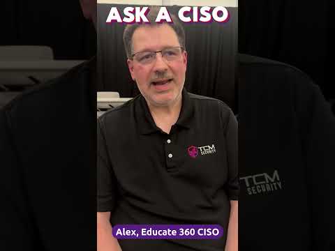 What Do Security Professionals Look for in Code?
